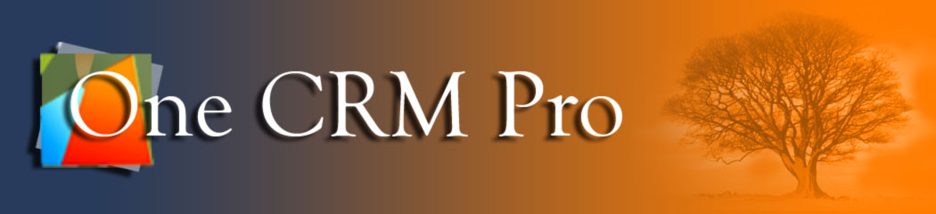 One CRM Pro Header